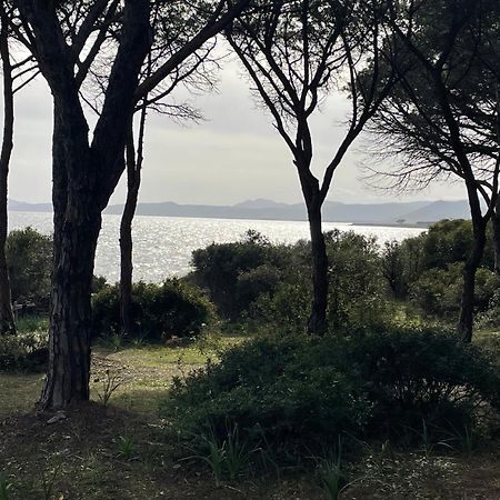 Villa Gegi Budoni Eksteriør bilde
