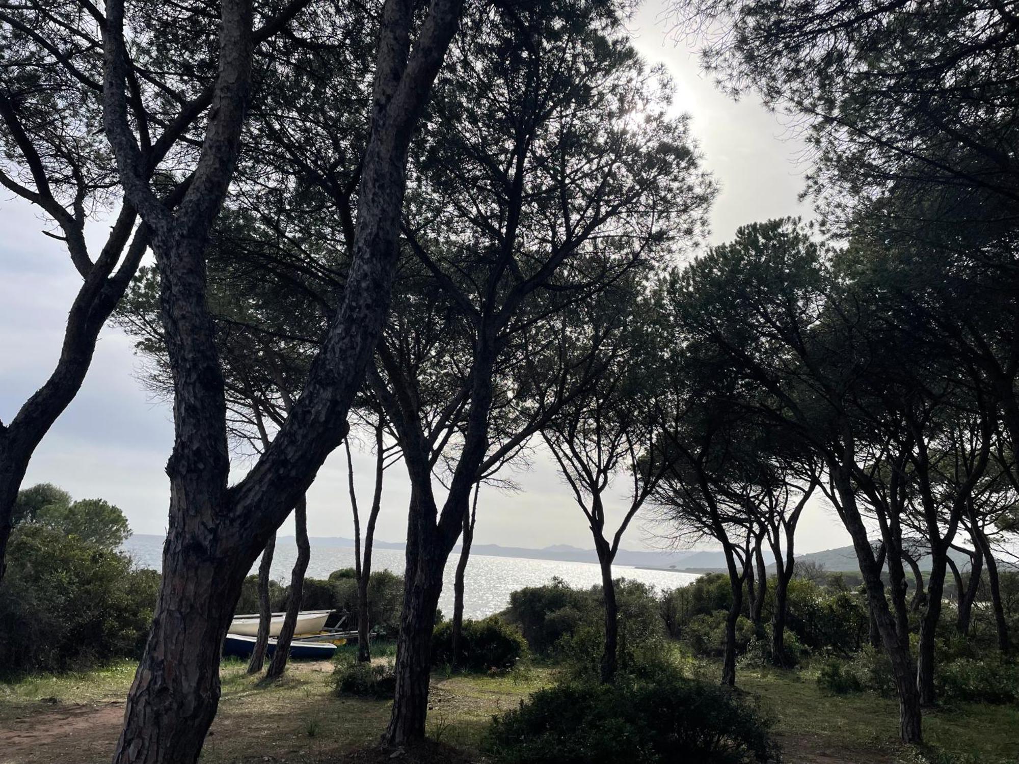 Villa Gegi Budoni Eksteriør bilde